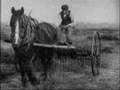 A Day in the Hayfields (1904)